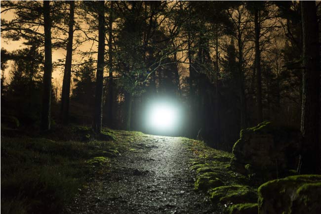 Streamlight flashlight being used on the woods